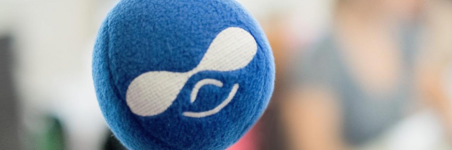 How we choose The Best and Cheap Drupal 8.2.2 Hosting Companies